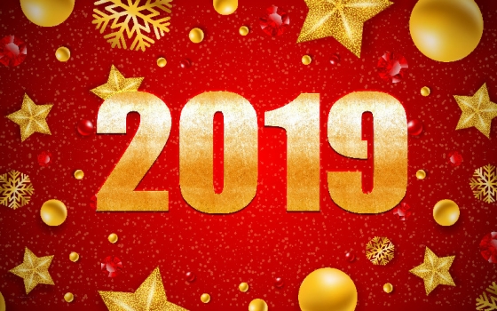 С НОВЫМ 2019 ГОДОМ !